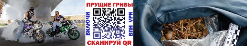 Галлюциногенные грибы мицелий  Белёв 